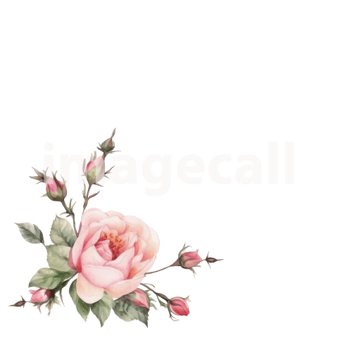 Pink Wedding Roses (7)