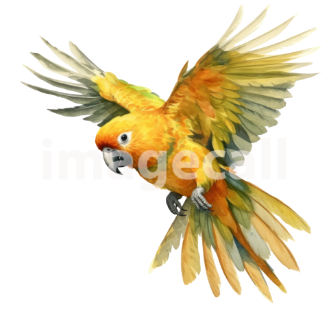Parrot (12)300dpi