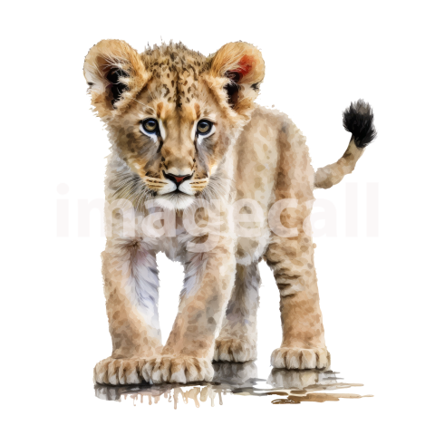 Safari Animal Babies (20)