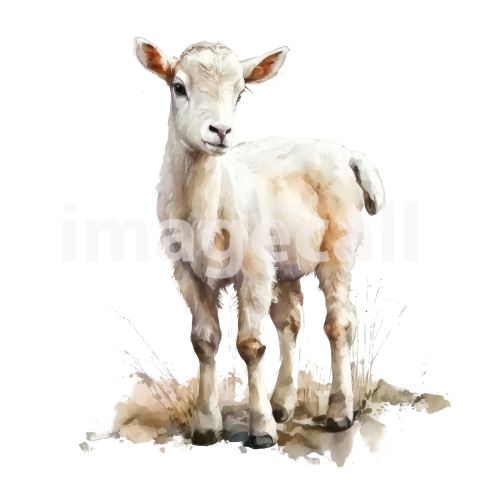 Cute animals (12)300dpi