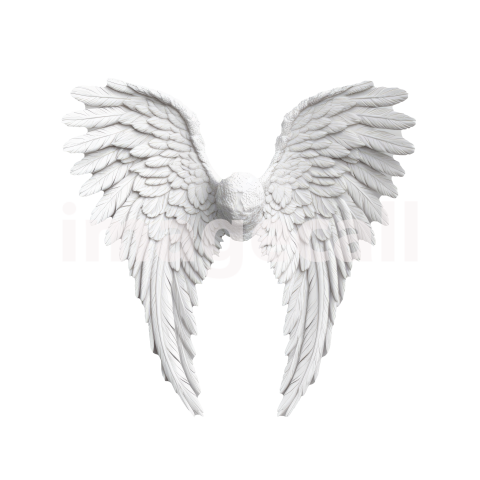 Clipart Angel Wings (3)300dpi