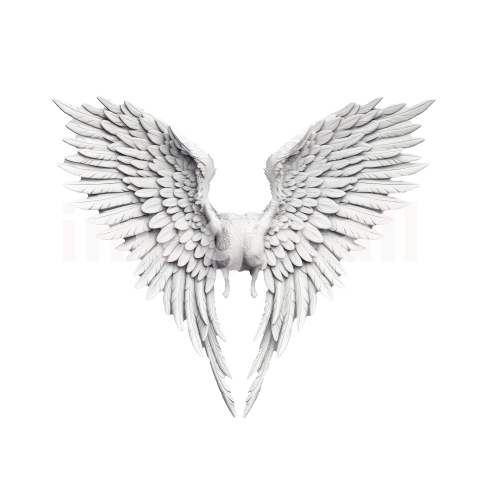 Clipart Angel Wings (6)300dpi