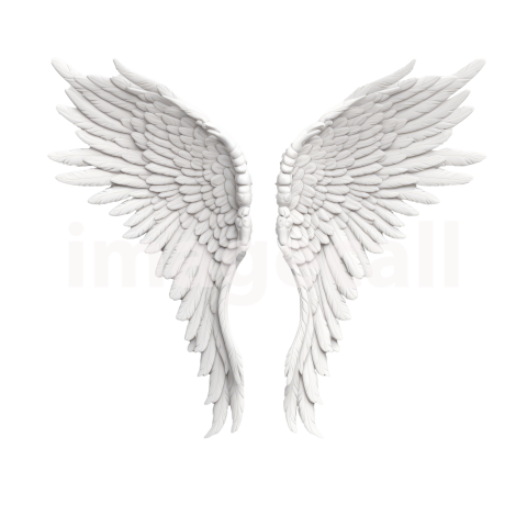 Clipart Angel Wings (8)300dpi