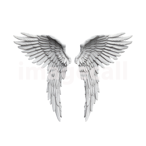 Clipart Angel Wings (12)300dpi