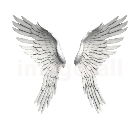 Clipart Angel Wings (15)300dpi