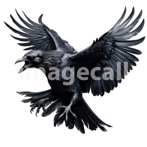 Clipart Raven (13)300dpi