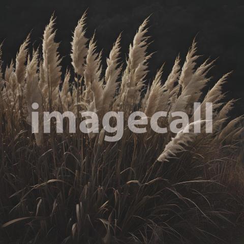 2025 07 18 17 43 34 2318