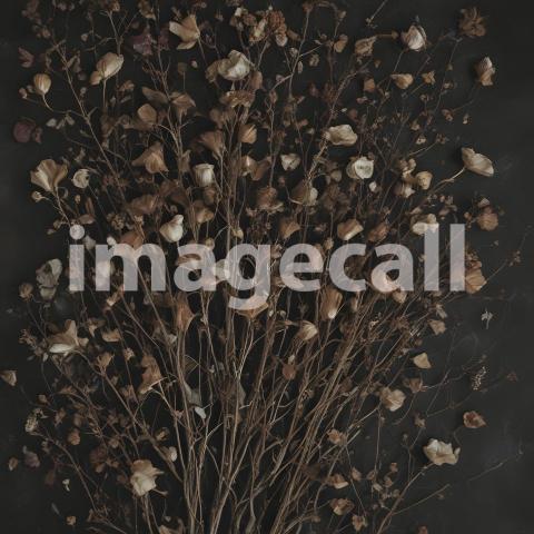 2025 07 18 17 43 40 9828