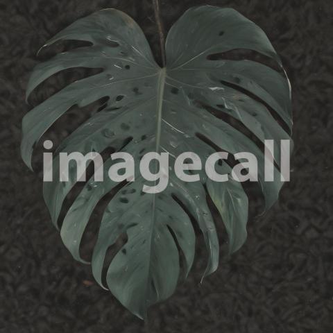 2025 07 18 17 44 10 5887