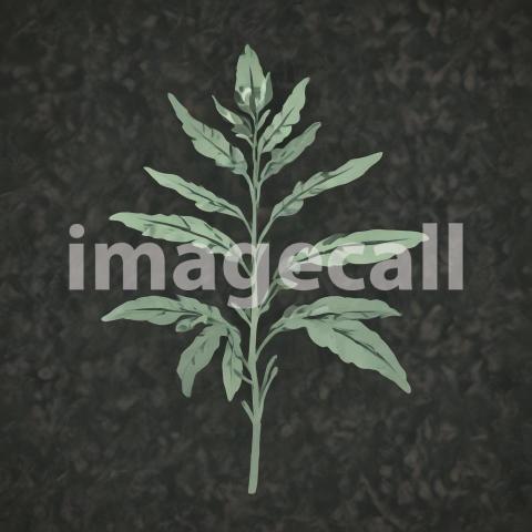 2025 07 18 17 44 12 1062