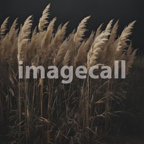 2025 07 18 17 45 18 9373