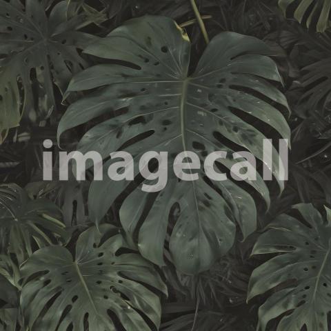 2025 07 18 17 45 57 7773