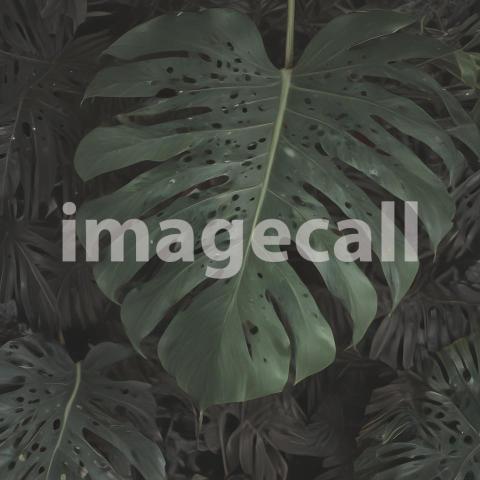 2025 07 18 17 47 15 6424