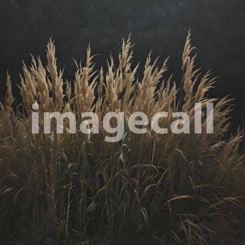 2025 07 18 17 48 09 5004