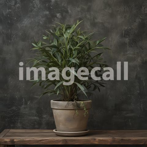 2025 07 18 17 48 24 4986