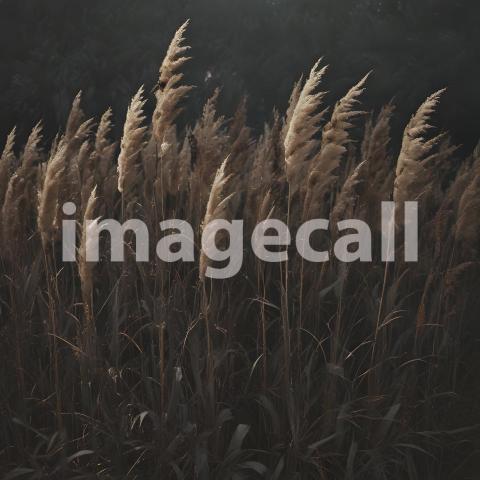 2025 07 18 17 48 44 9659