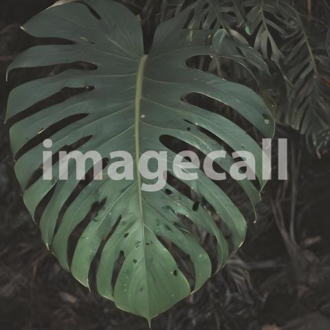 2025 07 18 17 49 21 5345