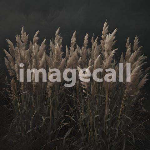 2025 07 18 17 51 22 4070