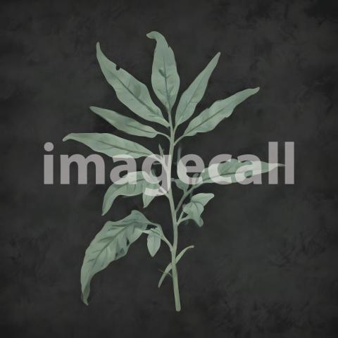 2025 07 18 17 51 56 1572