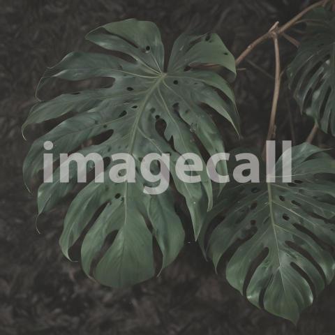 2025 07 18 17 52 13 6991