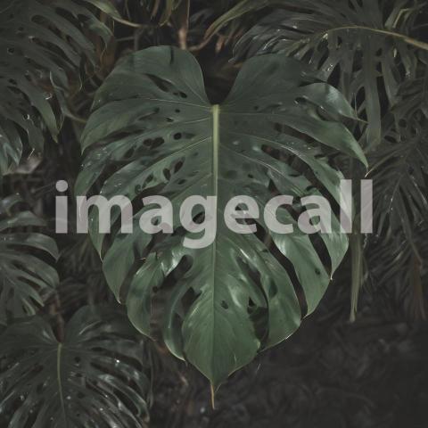 2025 07 18 17 52 46 9435