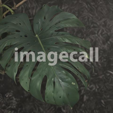 2025 07 18 17 53 07 4184