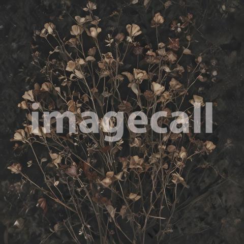 2025 07 18 17 53 59 8185