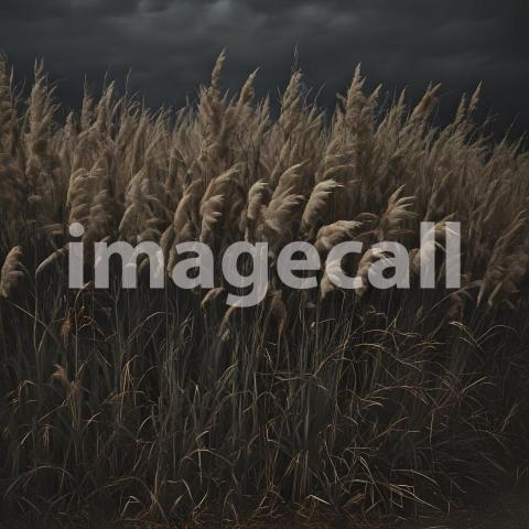 2025 07 18 17 54 19 2602