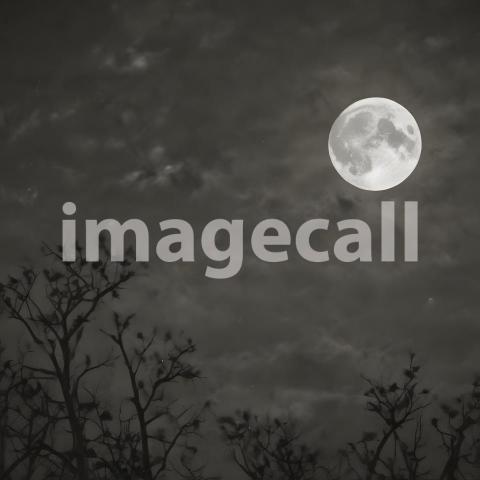 2025 07 18 17 54 48 8325