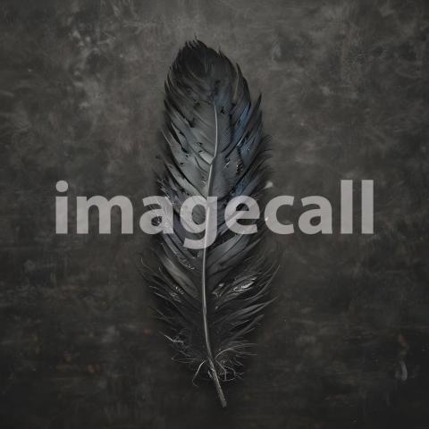 2025 07 18 17 55 12 9735