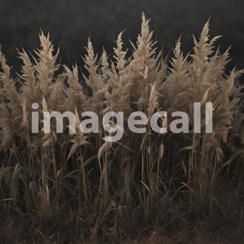 2025 07 18 17 55 48 1542