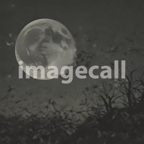 2025 07 18 17 56 12 7931