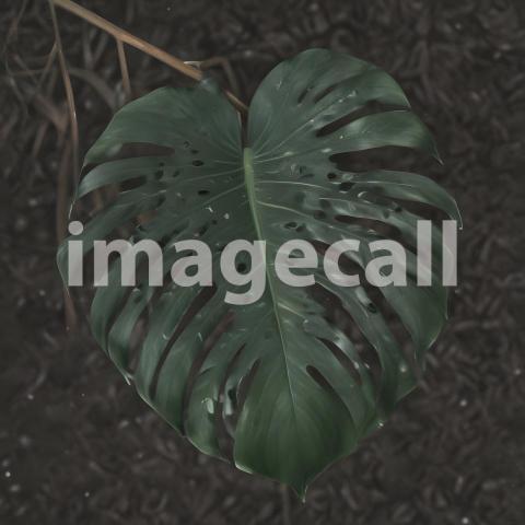 2025 07 18 17 56 27 7385