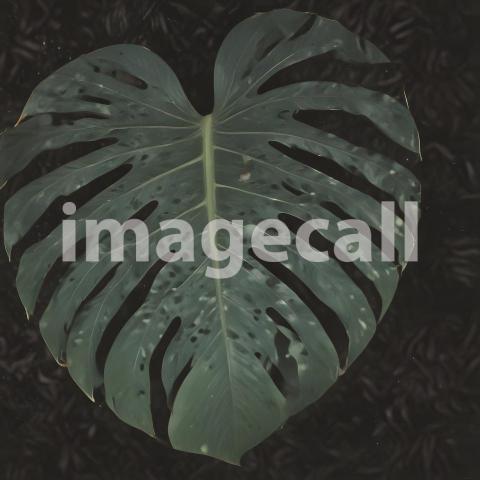 2025 07 18 17 57 02 4611