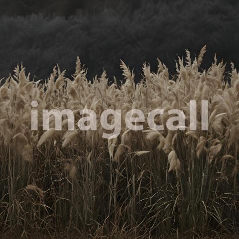 2025 07 18 17 57 08 6842