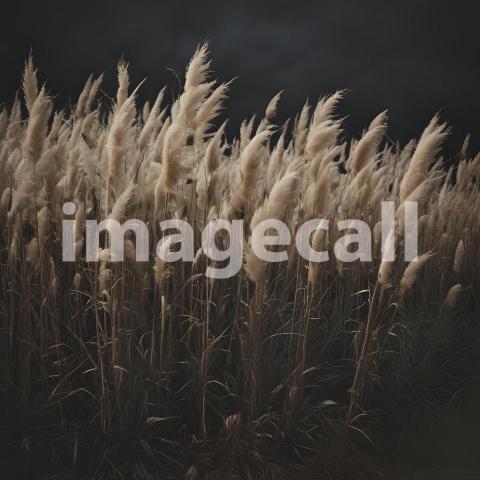 2025 07 18 17 58 07 3365