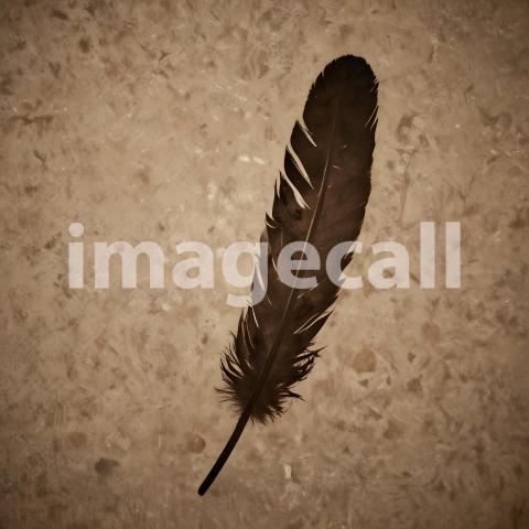 2025 07 18 17 58 11 3701