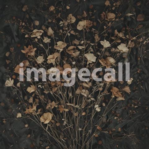 2025 07 18 17 58 05 6488