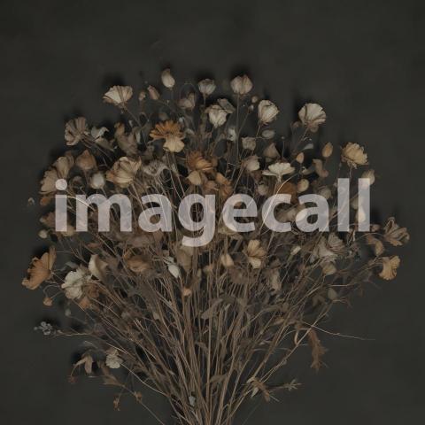 2025 07 18 17 59 48 8412