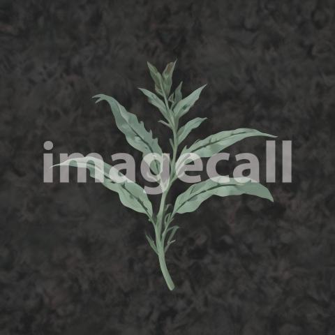 2025 07 18 18 00 23 9597