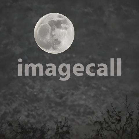 2025 07 18 18 00 25 5833