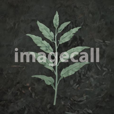 2025 07 18 18 01 29 3584