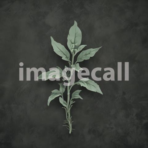 2025 07 18 18 01 43 6571