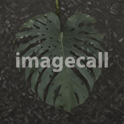 2025 07 18 18 04 07 2992