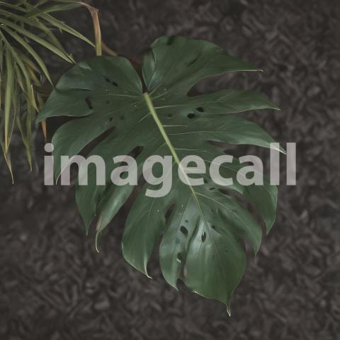 2025 07 18 18 04 28 8172