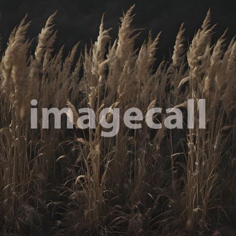 2025 07 18 18 04 43 1315