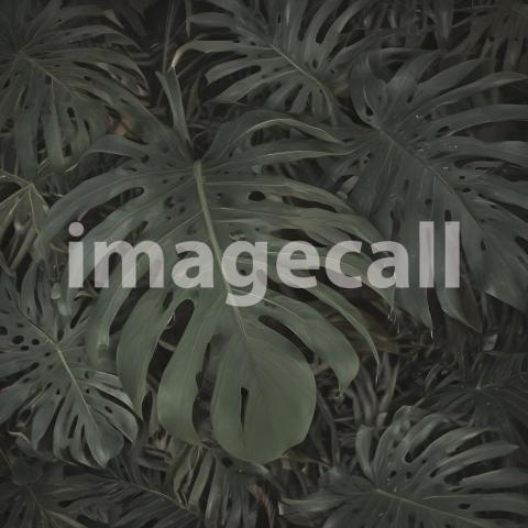 2025 07 18 18 05 06 6294