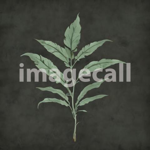 2025 07 18 18 05 27 5877