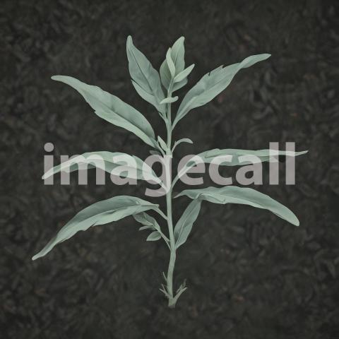 2025 07 18 18 06 28 7791