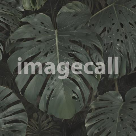 2025 07 18 18 06 30 6787